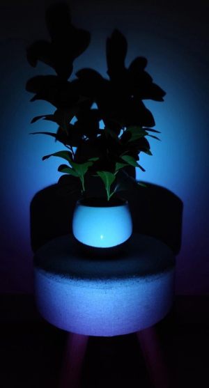 -światłocień -chiaroscuro-